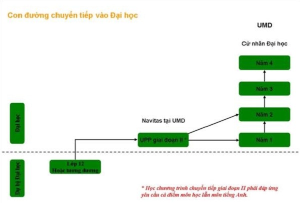 Tìm hiểu về học đại học, cao học tại Mỹ 1