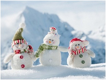 Fuyu Matsuri 2012 &ldquo;is coming to town&rdquo; 8