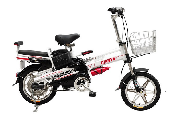 Xe điện Gianya nhận được ủng hộ của khách hàng khi công bố nguồn gốc 3