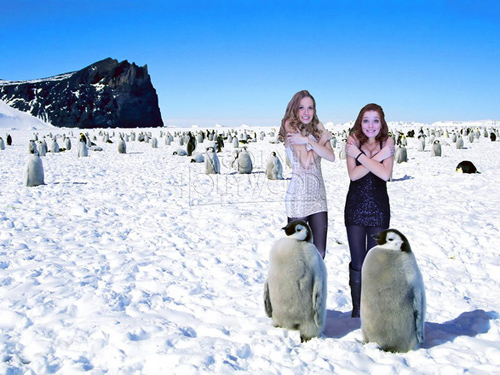 Cực sảng kho&aacute;i tại rạp phim 5D Ng&ocirc;i Nh&agrave; Hollywood 15