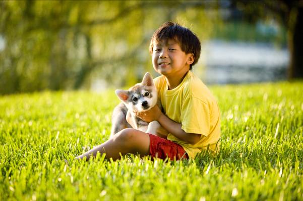 Thông minh không chỉ là... giỏi toán 2