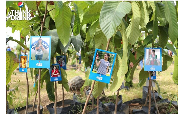 Theo chân Tạ Quang Thắng và Nhật Thủy trồng cây góp xanh Việt Nam 8
