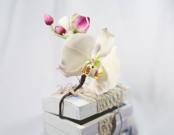 Chinh phục Gumpaste - Đỉnh cao nghệ thuật trang trí bánh với Blogger gốc Việt PINK’S KIT 7