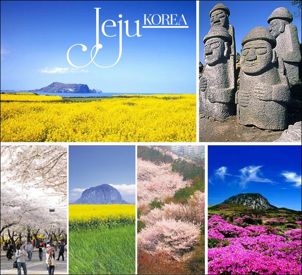 Giảm giá 70% mỹ phẩm từ tinh hoa đảo ngọc Jeju 2