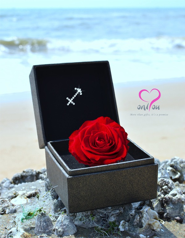 Hoa hồng “chỉ riêng mình em”, quà tặng có 1-0-2 cho 8/3 1