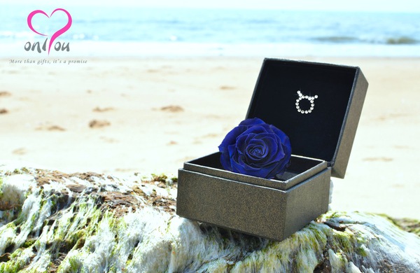 Hoa hồng “chỉ riêng mình em”, quà tặng có 1-0-2 cho 8/3 2