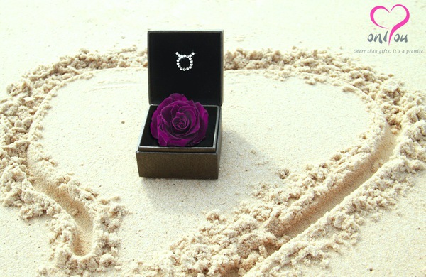 Hoa hồng “chỉ riêng mình em”, quà tặng có 1-0-2 cho 8/3 4