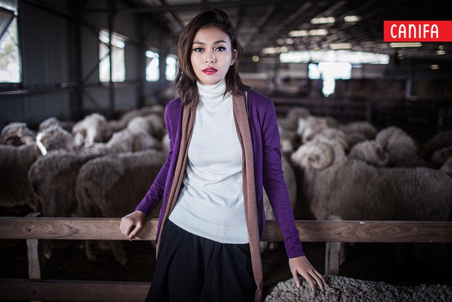 Len lông cừu – “Bảo bối” cho mùa Đông ấm và thời thượng 1