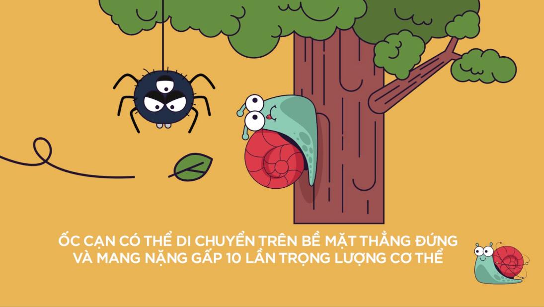 Người tiên phong trong ngành Animation Việt: Không có đam mê nào là ngõ cụt - Ảnh 6.