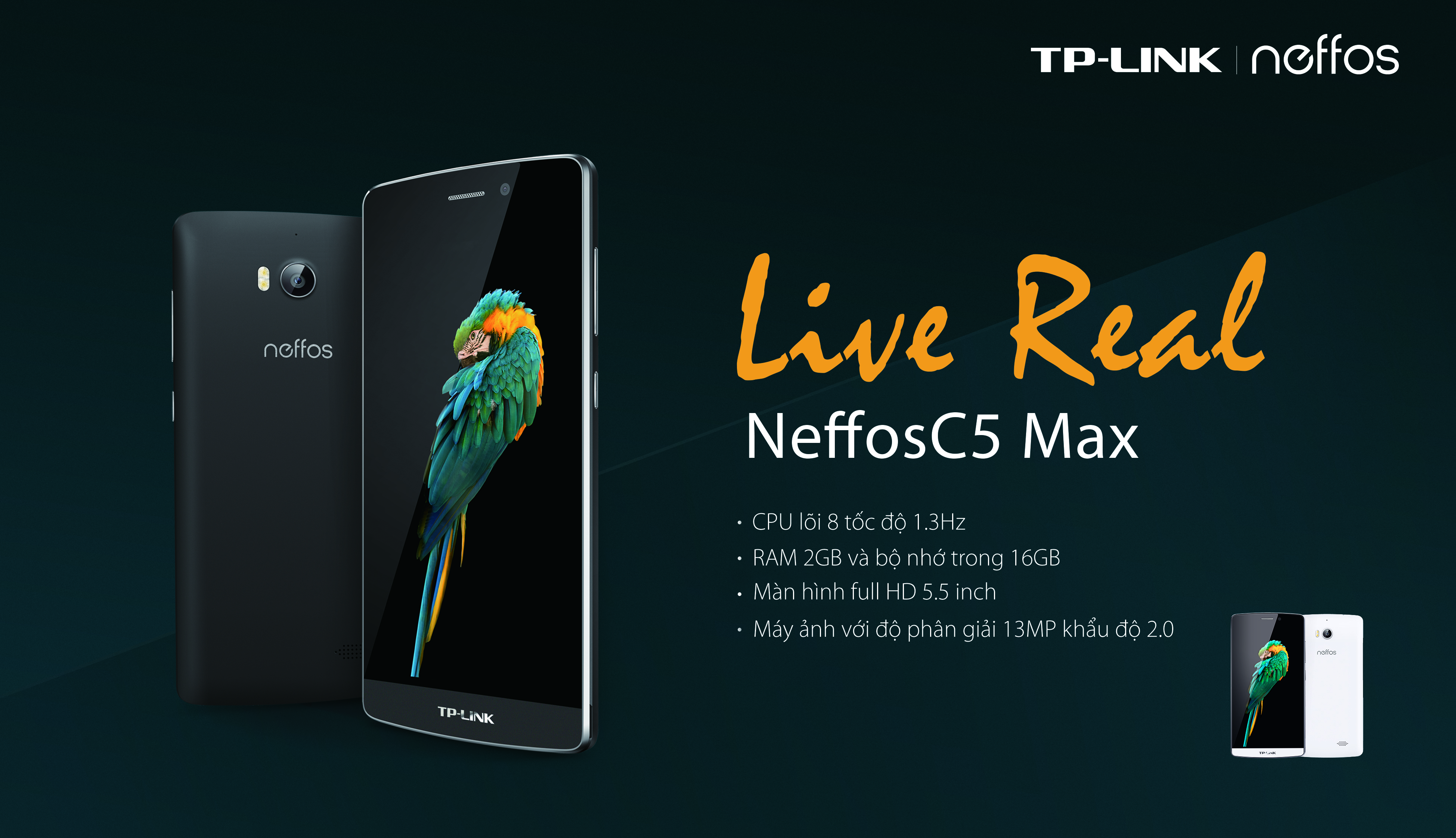 Neffos – Smartphone tầm trung hứa hẹn đốn tim giới trẻ - Ảnh 4. Neffos – Smartphone tầm trung hứa hẹn đốn tim giới trẻ - Ảnh 4.