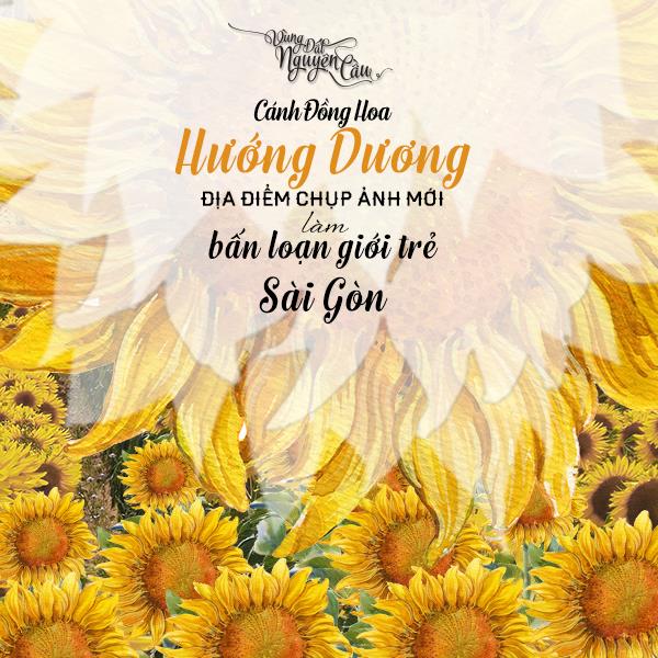 C&ugrave;ng Mỹ T&acirc;m &ndash; Mỹ Linh tham gia lễ hội cưới Queen&rsquo;s Day 2016 - Ảnh 5.