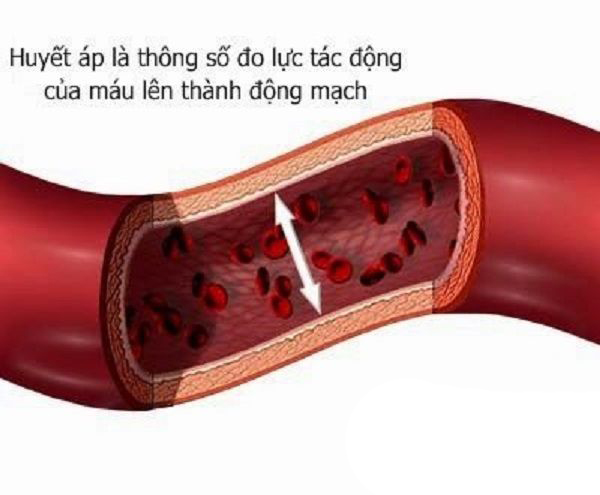 Báo động: 48% người Việt Nam mắc bệnh tăng huyết áp - Ảnh 1.
