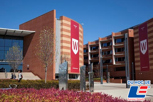 Học bổng dành cho sinh viên quốc tế trị giá 5,000.00 AUD tại Đại học Western Sydney - Ảnh 2.