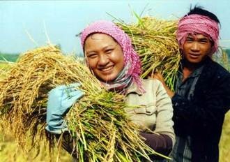 NCB dành gần 1000 tỷ cho vay ưu đãi phát triển nông nghiệp (1)