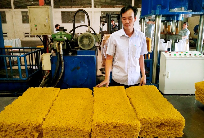 DRI: Doanh thu tăng gần gấp đôi, chia cổ tức 5% bằng tiền mặt DRI: Doanh thu tăng gần gấp đôi, chia cổ tức 5% bằng tiền mặt