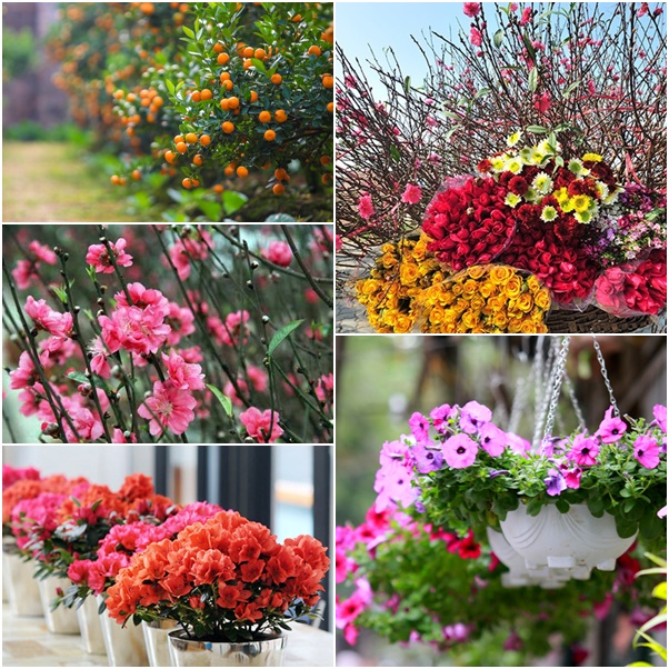 Chợ Tết Ecopark: Kh&ocirc;ng gian Tết Việt đầy m&agrave;u sắc - Ảnh 3.