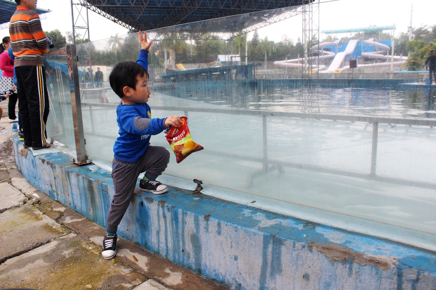 Trẻ em mê mẩn với xiếc cá heo tại Thiên đường Bảo Sơn - Ảnh 3.