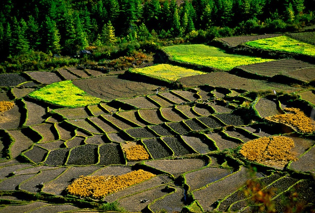 Nếu chưa biết đi đ&acirc;u thật mới v&agrave; lạ trong năm nay, h&atilde;y đến ngay Bhutan - Ảnh 1.