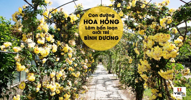 Tưng bừng ưu đãi tại triển lãm cưới lớn nhất Bình Dương - Ảnh 3.