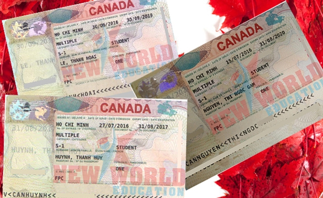 Hội thảo du học Canada trường Fleming College cùng visa ưu tiên CES 2016 - Ảnh 4.