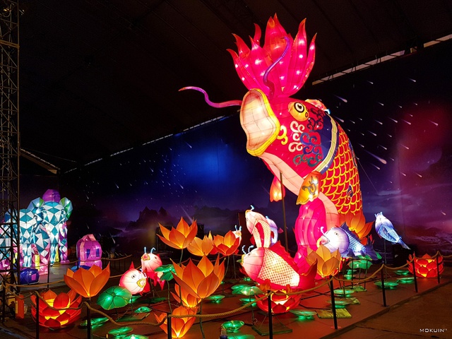 Những bức ảnh lộng lẫy khiến bạn không thể không ghé thăm Lễ Hội Lồng Đèn lớn nhất Việt Nam - Ảnh 5.