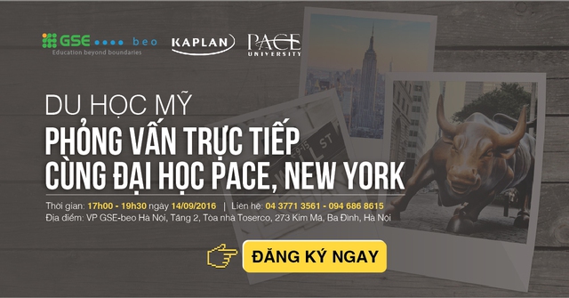 Phỏng vấn trực tiếp với trường đại học PACE, New York - Ảnh 1.