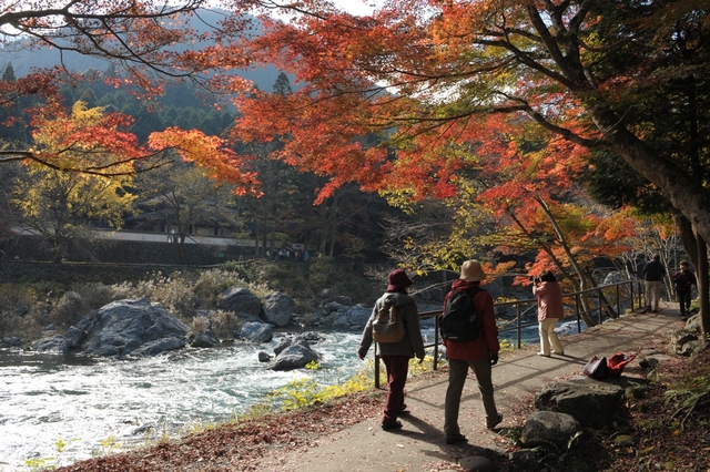 4 điều cực hấp dẫn dành cho giới trẻ khi du lịch Tokyo Nhật Bản - Ảnh 4.