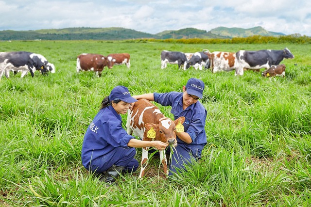 Vinamilk ra mắt sản phẩm sữa tươi 100% organic sản xuất tại Việt Nam - Ảnh 2.