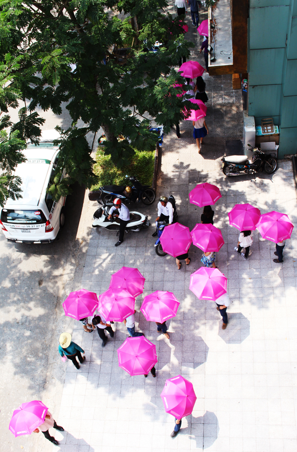 Ngập tràn sắc hồng trên đường phố Sài Gòn 2