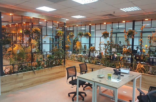 Không gian nội thất văn phòng tràn ngập cây xanh
