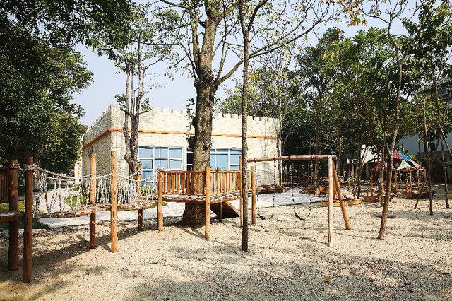 Kh&aacute;m ph&aacute; ng&ocirc;i trường cổ t&iacute;ch giữa rừng c&acirc;y - Ảnh 2.