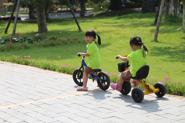 Kh&aacute;m ph&aacute; ng&ocirc;i trường cổ t&iacute;ch giữa rừng c&acirc;y - Ảnh 10.